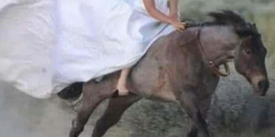 Imagem do grupo de WhatsApp VΞŁФZΞS Ξ MΞMФZΞS 2.0