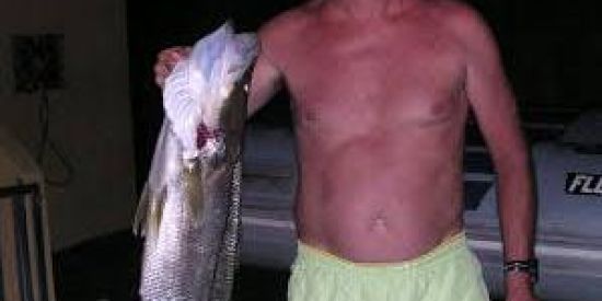 Imagem do grupo de WhatsApp ꧁ঔৣ☬✞ 🇧🇷 Gяαиσcнi 🇹🇼✞☬ঔৣ꧂