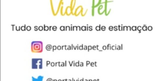 Imagem do grupo de WhatsApp Portal Vida Pet