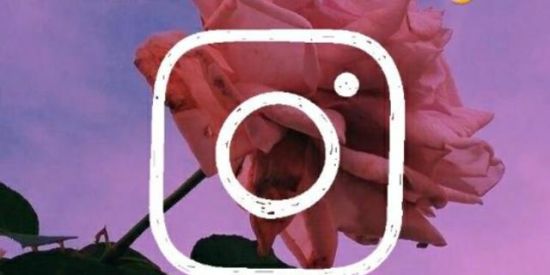 Imagem do grupo de WhatsApp Enganjando todos 2