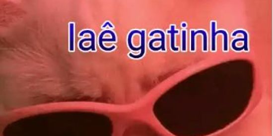 Imagem do grupo de WhatsApp Armário