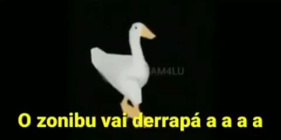 Imagem do grupo de WhatsApp Só retardados