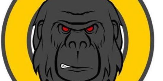 Imagem do grupo de WhatsApp Ilha da Macacada 🦍