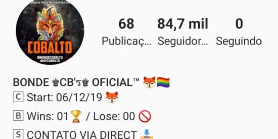 Imagem do grupo de WhatsApp RECRUTAMENTO COBALTO🦊