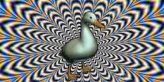 Imagem do grupo de WhatsApp União Flasco