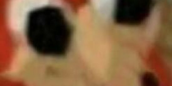 Imagem do grupo de WhatsApp South Brazil memes 🇧🇷🇦🇴