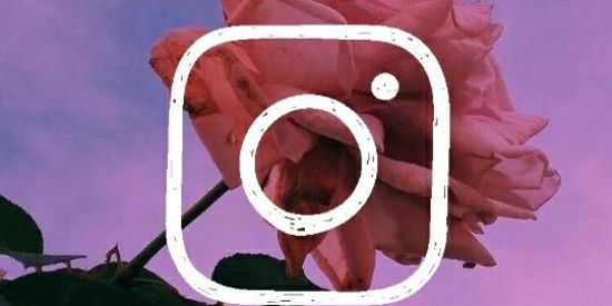 Imagem do grupo de WhatsApp TROCA DE SEGUIDORES 🌙✨