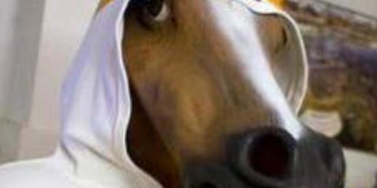 Imagem do grupo de WhatsApp 👑 ғɪɢᴜʀɪʟᴀɴᴅɪᴀ 👑