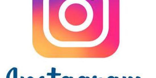 Imagem do grupo de WhatsApp Seguidores no Instagram
