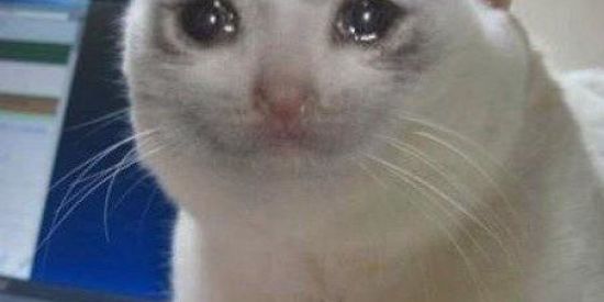 Imagem do grupo de WhatsApp Memes e zueira