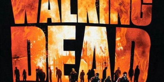 Imagem do grupo de WhatsApp 『  T.W.D  -  🇧🇷  』