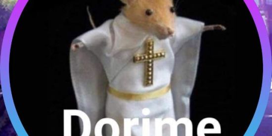 Imagem do grupo de WhatsApp Dorime