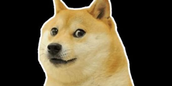 Imagem do grupo de WhatsApp Toop 10/10 de figurinhas🤑