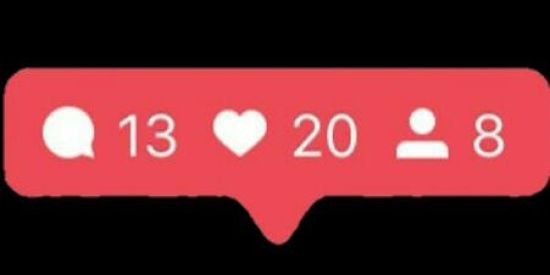 Imagem do grupo de WhatsApp SEGUIDINSTA🌻