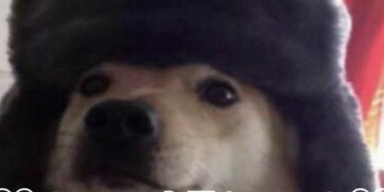 Imagem do grupo de WhatsApp Videos e Figurinhas 🔞