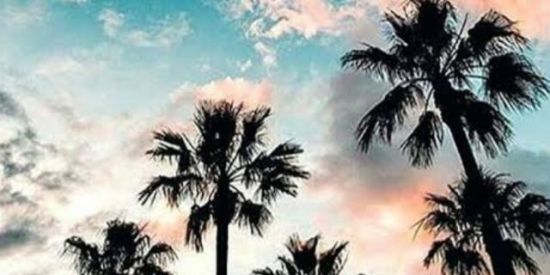 Imagem do grupo de WhatsApp QUARENTENA  MIL  GRAL