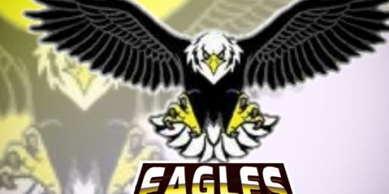 Imagem do grupo de WhatsApp Xtreino EAGLES TM