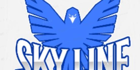 Imagem do grupo de WhatsApp Testes SKY LINE