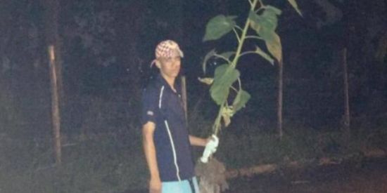 Imagem do grupo de WhatsApp Figurinhas 🌸✌🏼