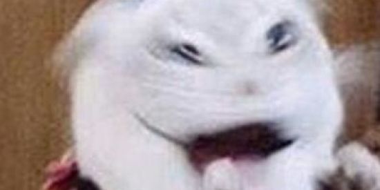 Imagem do grupo de WhatsApp R̴ ̴E̴ ̴S̴ ̴E̴ ̴N̴ ̴H̴ A🔥