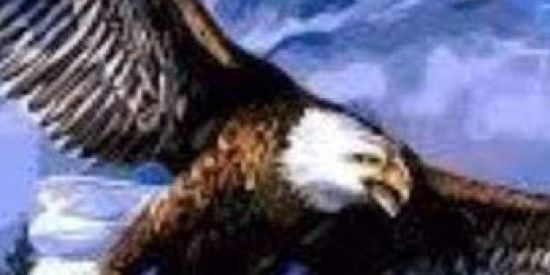 Imagem do grupo de WhatsApp Confirmados múltiplo 2x