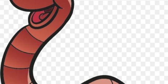 Imagem do grupo de WhatsApp SOMOS MEROS PARASITAS KKK