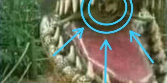 Imagem do grupo de WhatsApp x.X.S.O.P.X.x - UNIÃO FLASCO