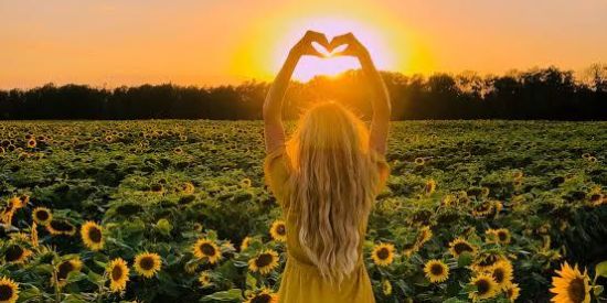 Imagem do grupo de WhatsApp ¹♔ɱ'dɱ♔🌻||🌻Sunflower🌻