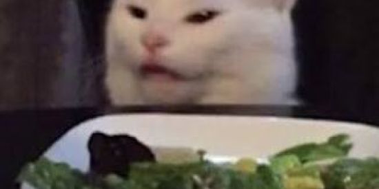 Imagem do grupo de WhatsApp Figurinhas