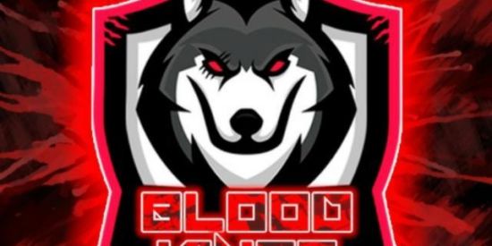 Imagem do grupo de WhatsApp 150 seguidores por dia. Esse não é o grupo ofc.