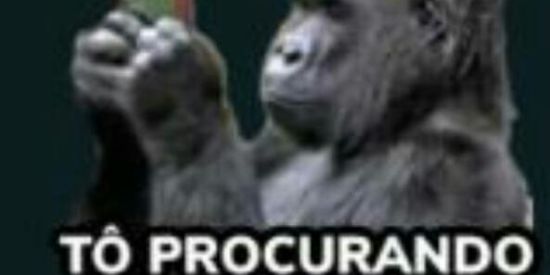 Imagem do grupo de WhatsApp Figurinhas😅🙃