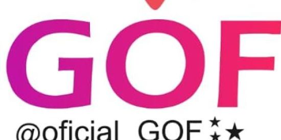 Imagem do grupo de WhatsApp Recrutamento✨GOF✨