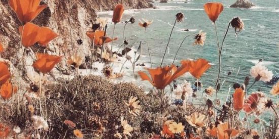 Imagem do grupo de WhatsApp Kpop~✨🌙