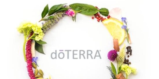 Imagem do grupo de WhatsApp VIDA SALDAVEL DO TEREA