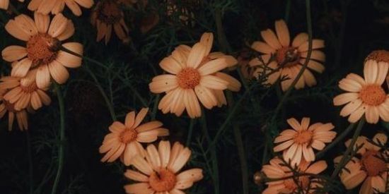 Imagem do grupo de WhatsApp Zueira🥳🔞