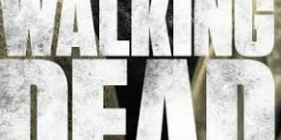 Imagem do grupo de WhatsApp The walking dead 🧟‍♀️🧟‍♂️