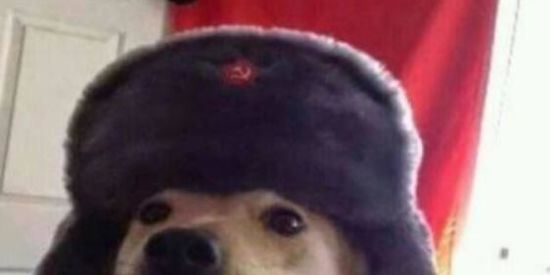 Imagem do grupo de WhatsApp FIGURINHAS🇦🇴