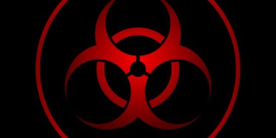 Imagem do grupo de WhatsApp Os desocupados