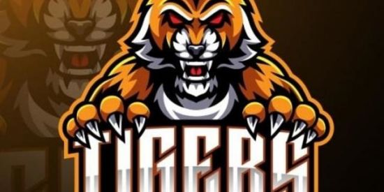 Imagem do grupo de WhatsApp ❶.❷ Pяοנєτο Tιgєяѕ 🔥