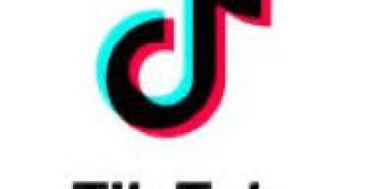 Imagem do grupo de WhatsApp LUCRANDO COM O TIKTOK 💸