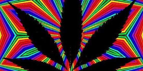 Imagem do grupo de WhatsApp TROPA 💥🔥