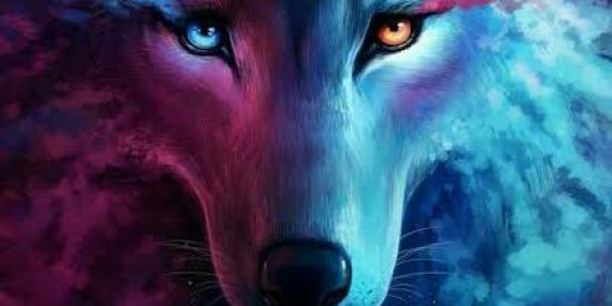 Imagem do grupo de WhatsApp Duelo de figurinhas 🔥