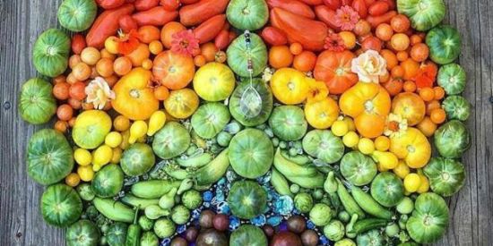 Imagem do grupo de WhatsApp Horta Terapia 🥬🍅🍇