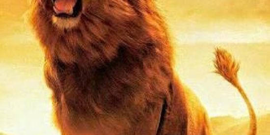 Imagem do grupo de WhatsApp 😂MÚSICAS & CIA😂