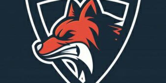 Imagem do grupo de WhatsApp Guilda {ADR}SPORTS