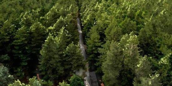 Imagem do grupo de WhatsApp 🚂 Expresso de Hogwarts 🛤️