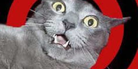 Imagem do grupo de WhatsApp Jüst Crazy 😜💥💭