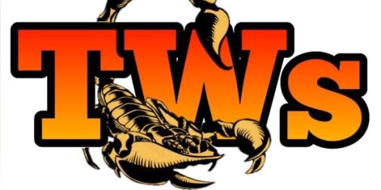 Imagem do grupo de WhatsApp ⚜️Rεcяuтคмεหтσ TW'ร⚜️