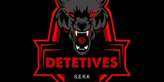 Imagem do grupo de WhatsApp ☑️DETETIVES VIRTUAIS☑️