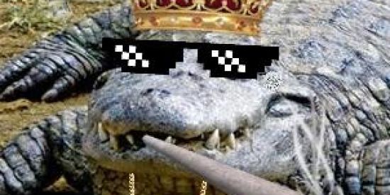 Imagem do grupo de WhatsApp Lacoste 🦎🐊